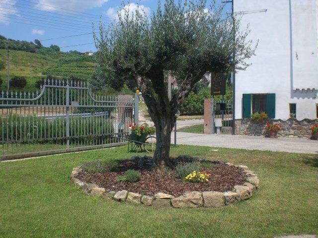 Il Feudo Villa Vo Euganeo Bagian luar foto